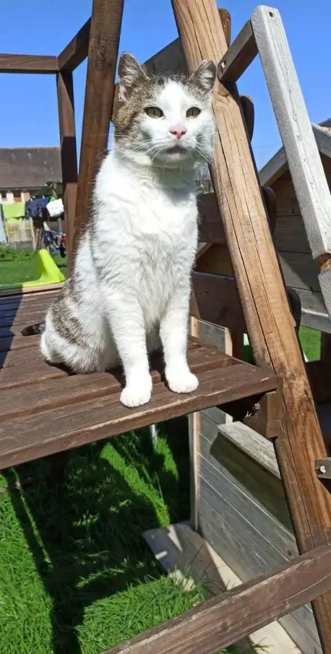 Boubouille photo 2