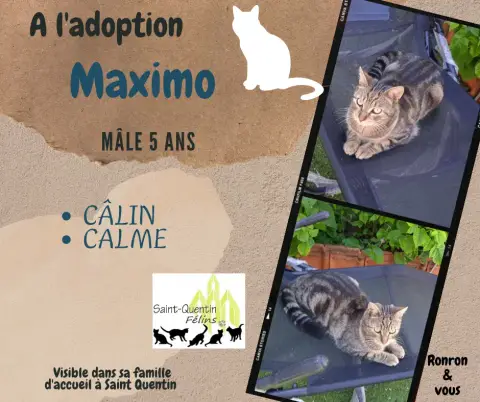 Maximo