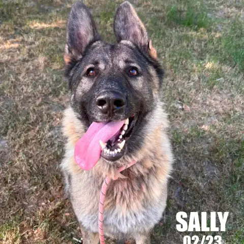 Sally