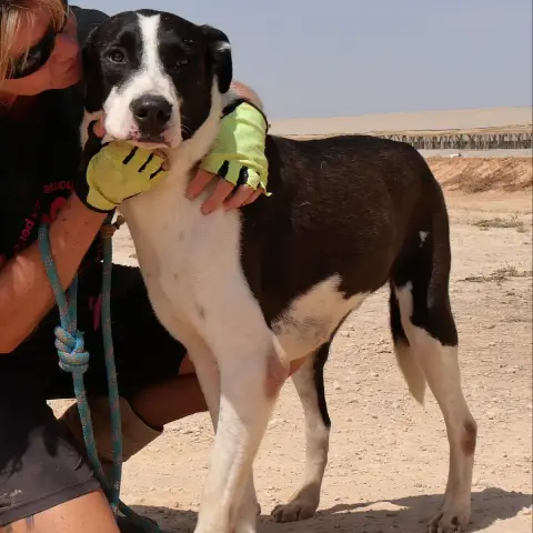 Thor photo 2