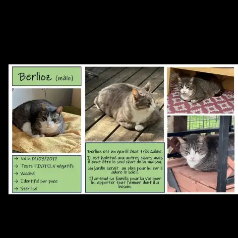 Berlioz photo 2