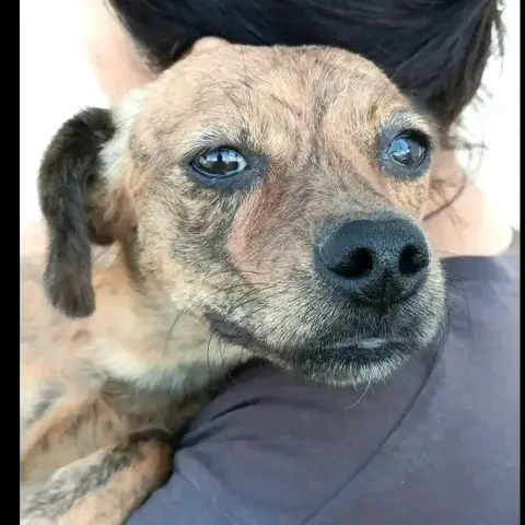 Tina