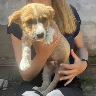 Gigi photo 2