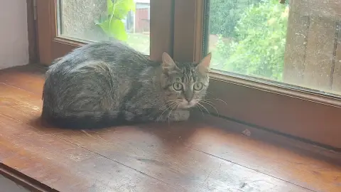 Delilah photo 3