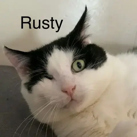 Rusty photo 3