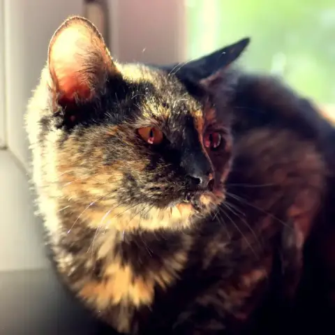 April photo 3