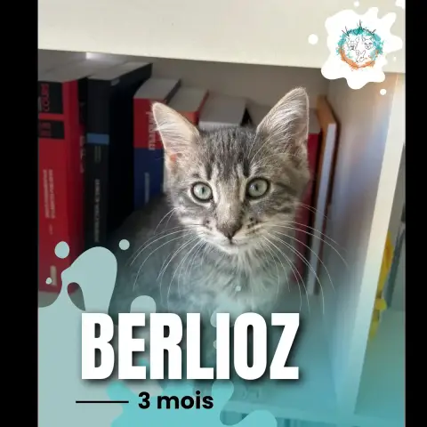 Berlioz