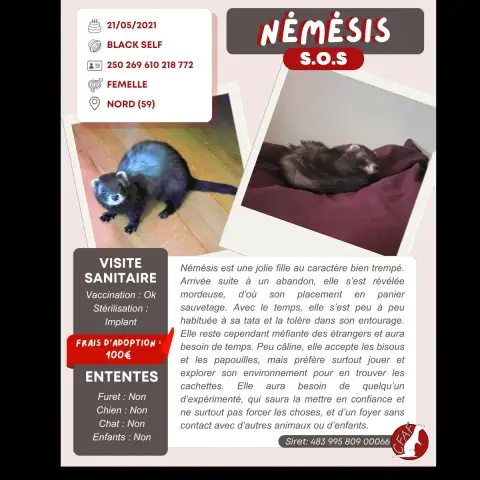 Némésis