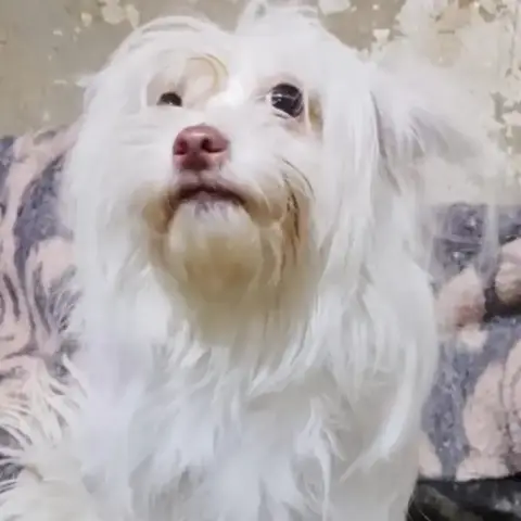 Sophie