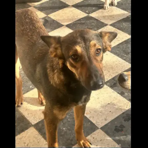 Stitch photo 3