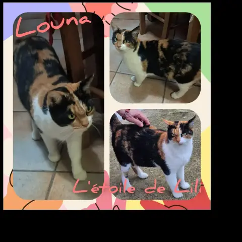 Louna