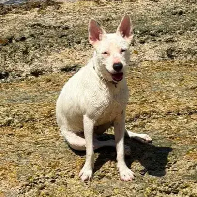 Lola photo 3