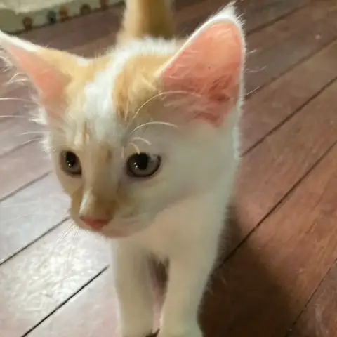 Bill