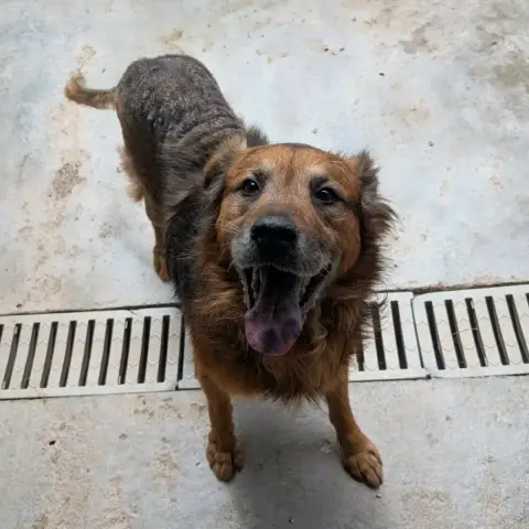 Romeo 2