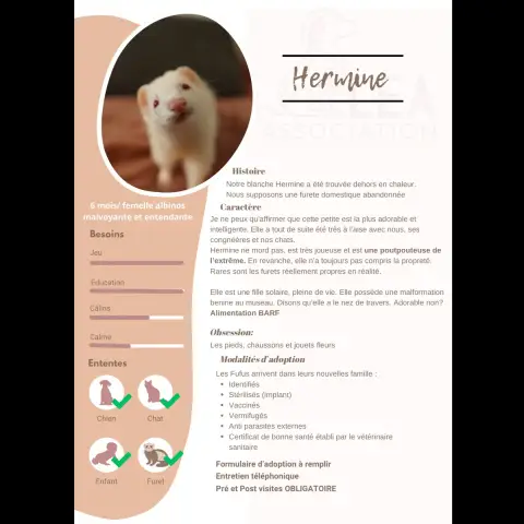 Hermine