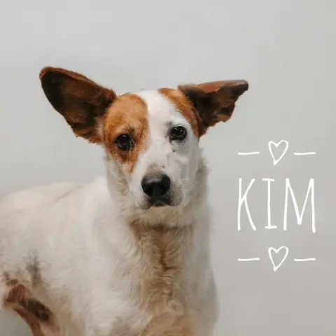 Kim photo 3