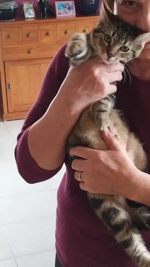 Sam