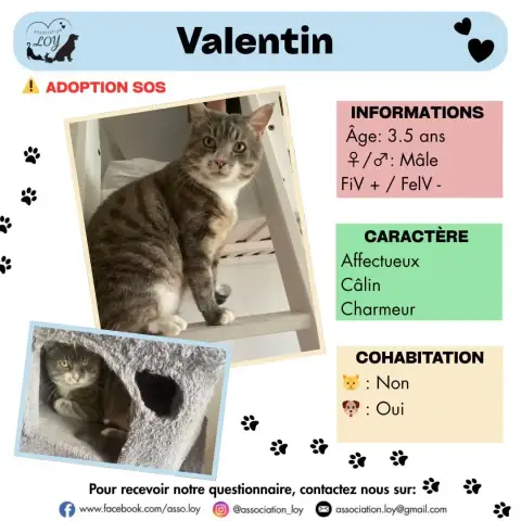 Valentin