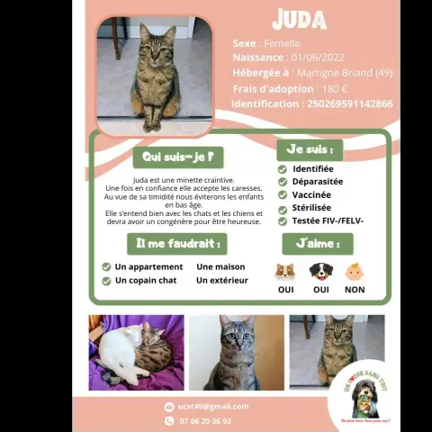 Juda