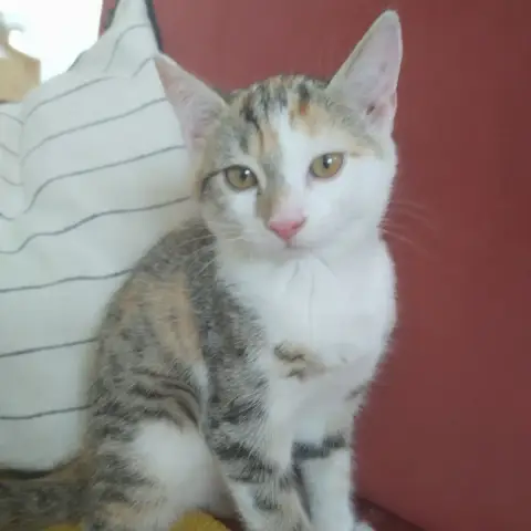 Bella photo 2