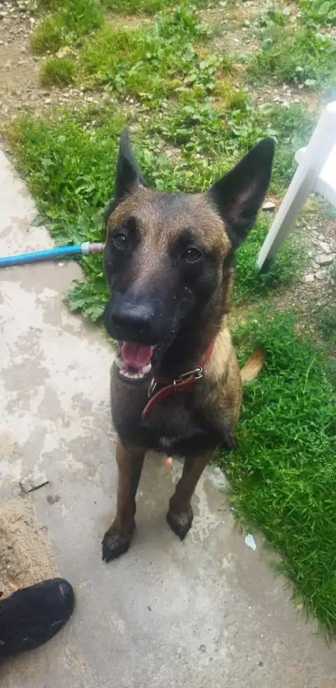 Tayson