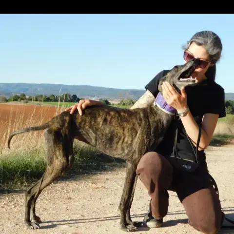 Richesse photo 3