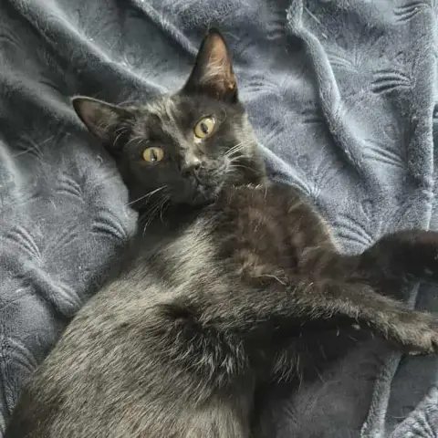 Symba