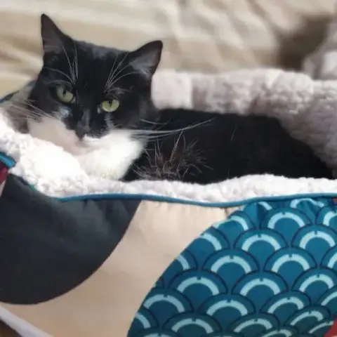 Salomé photo 2