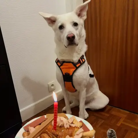 Winnie