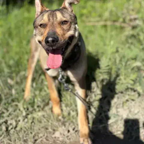 Max