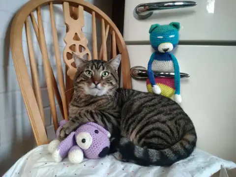 Walter photo 2