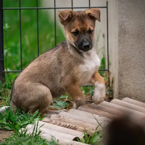 Diego photo 3