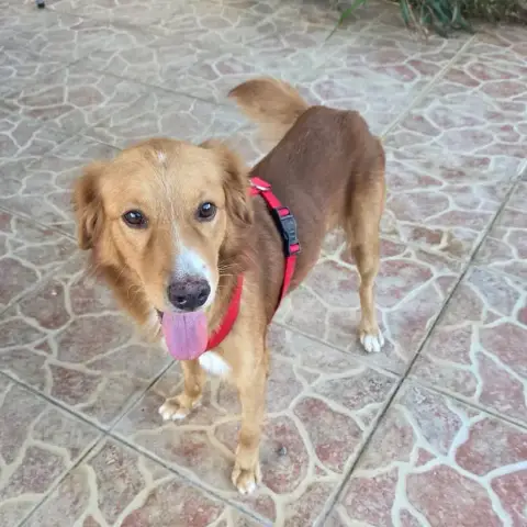 Roméo photo 2
