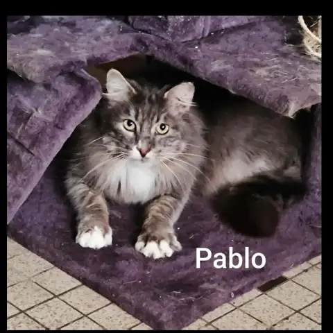 Pablo photo 3
