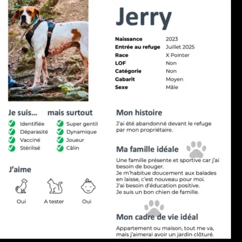 Jerry