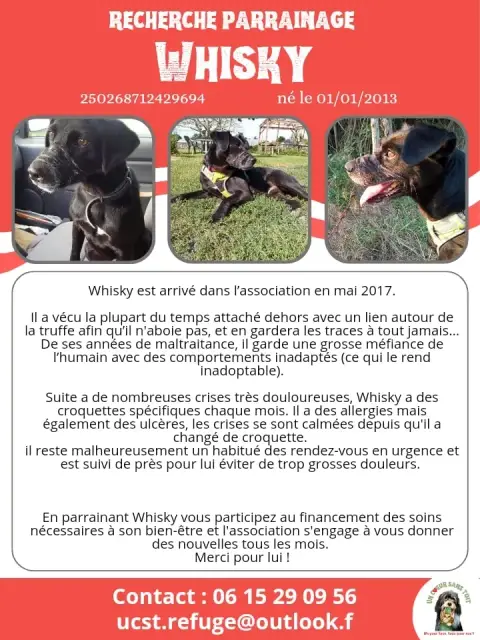 Whisky