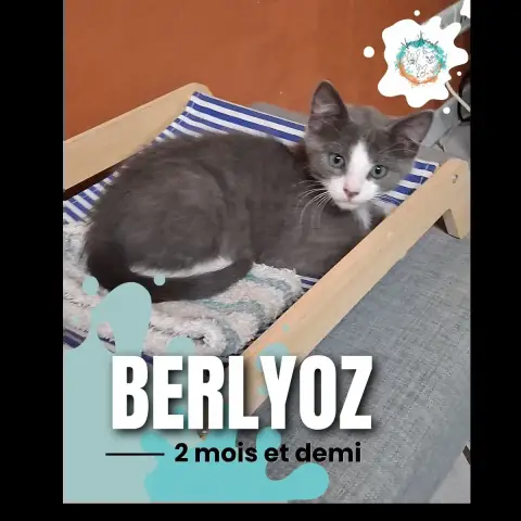 Berlyoz