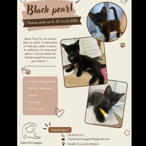 Black Pearl