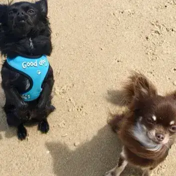 Louna Et Jetty