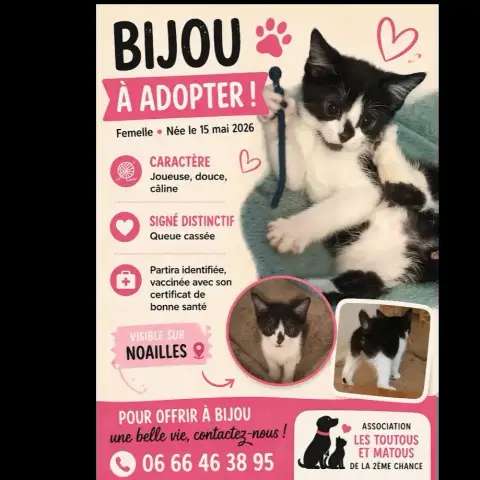 Bijou