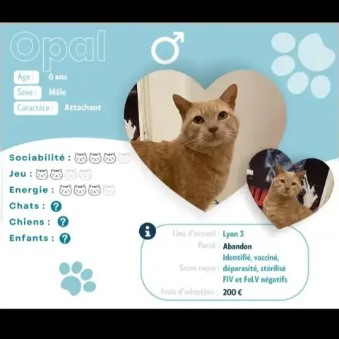Opal