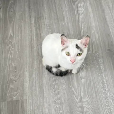 Arlo