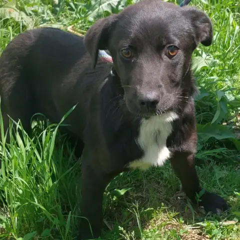 Zelie photo 2