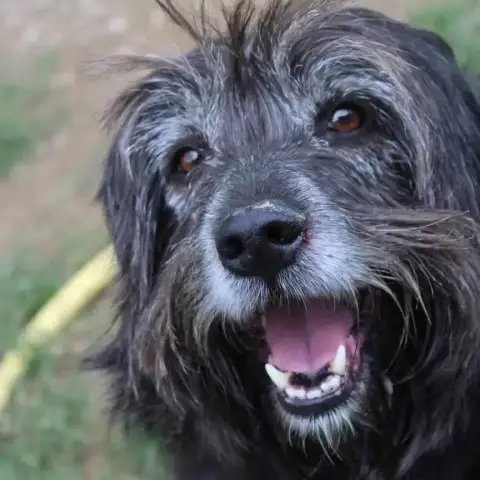 Max