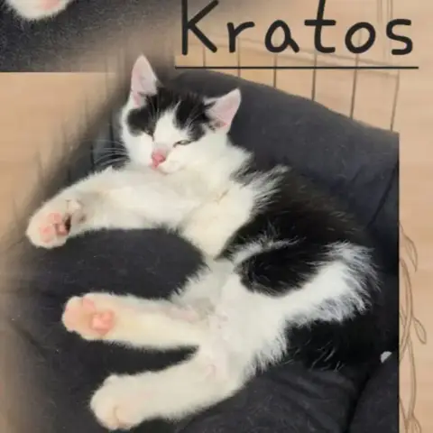 Kratos Et Princesse photo 2