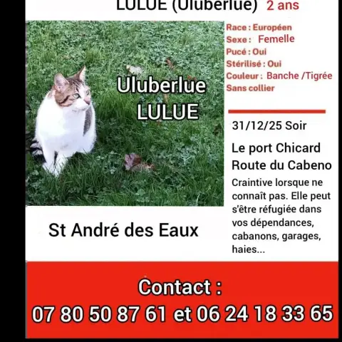 Lulue