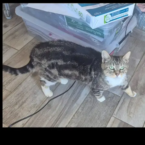 Bibi photo 3