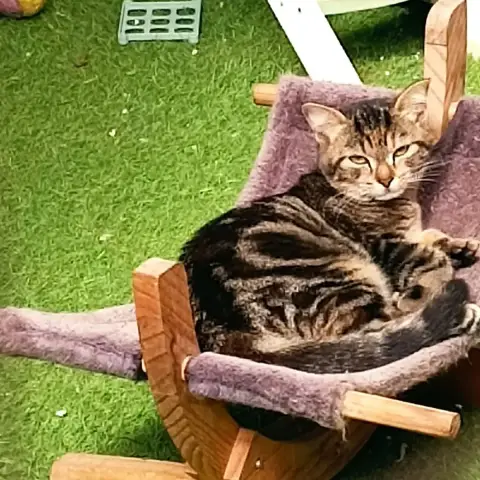 Bella