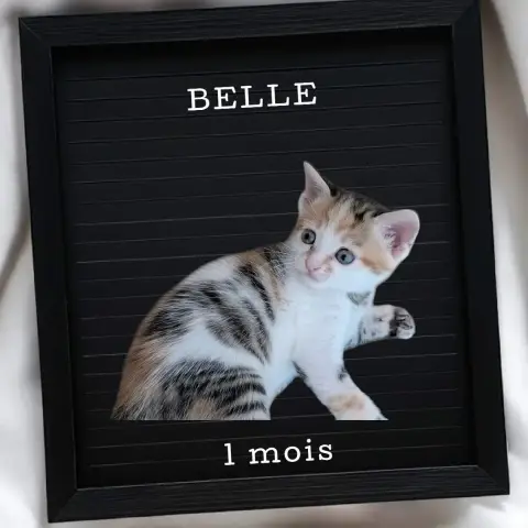 Belle photo 2