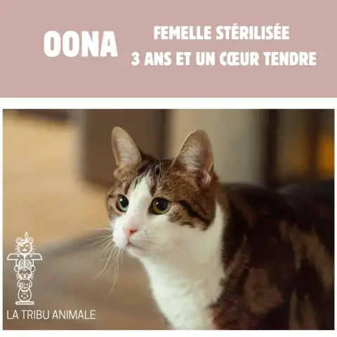 Oona photo 2